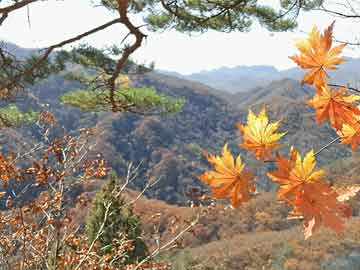 一笑一碼期期準(zhǔn)707333,李現(xiàn)幾個(gè)鏡頭就讓風(fēng)流倜儻有了實(shí)感數(shù)據(jù)整合設(shè)計(jì)方案_定制版47.91.54