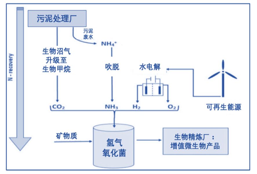 冷卻工藝,冷卻工藝與創(chuàng)新計(jì)劃分析，探索未來(lái)的技術(shù)路徑與策略部署,快速響應(yīng)執(zhí)行策略_續(xù)版18.89.95