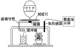 推車與偶氮化工藝判定的區(qū)別,推車與偶氮化工藝判定的區(qū)別，數(shù)據(jù)解答解釋定義與版型差異詳解,數(shù)據(jù)分析決策_(dá)eShop78.21.33