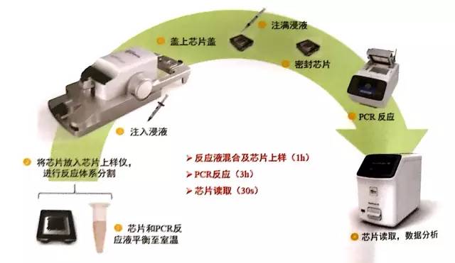 pcr擴增儀工作原理