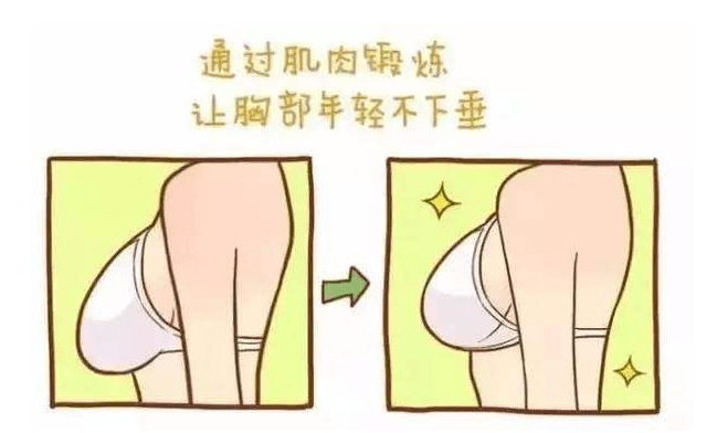 女孩子怎么豐胸