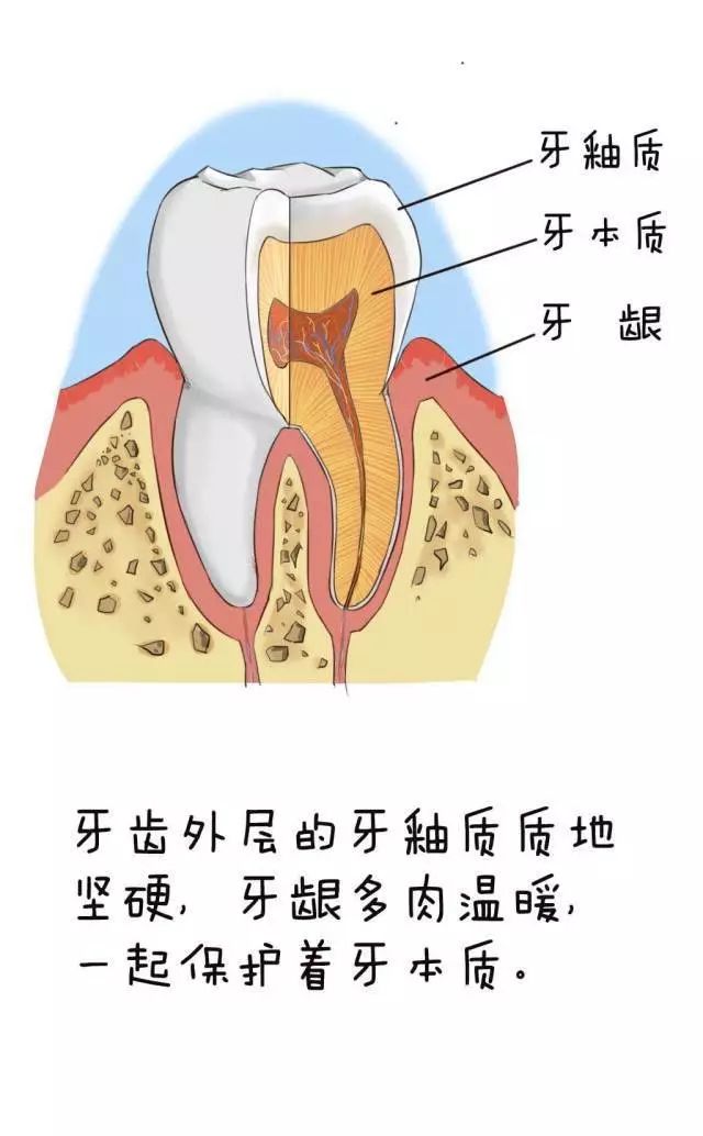 牙體種植后多久可以抽煙喝酒,高效計劃設(shè)計下的牙體種植恢復與煙酒消費指南，牙體種植后多久可以抽煙喝酒？,深入解析數(shù)據(jù)應(yīng)用_版次80.85.58