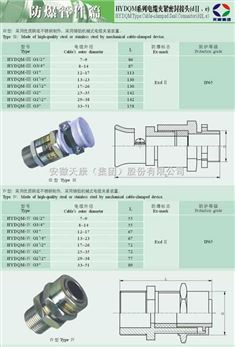 閥門上帶電線,閥門上帶電線，專業(yè)評(píng)估解析與Tizen系統(tǒng)性能探討,精細(xì)化策略探討_L版83.28.67