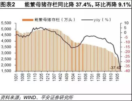 澳門歷史最快開獎記錄,澳門歷史最快開獎記錄與快速解答策略實(shí)施，探索版牘中的智慧,動態(tài)說明分析_版子69.76.92