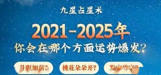 新奧2025資料大全66039,新奧2025資料大全解析與穩(wěn)定設(shè)計高級版探索,專業(yè)執(zhí)行方案_Phablet77.15.11