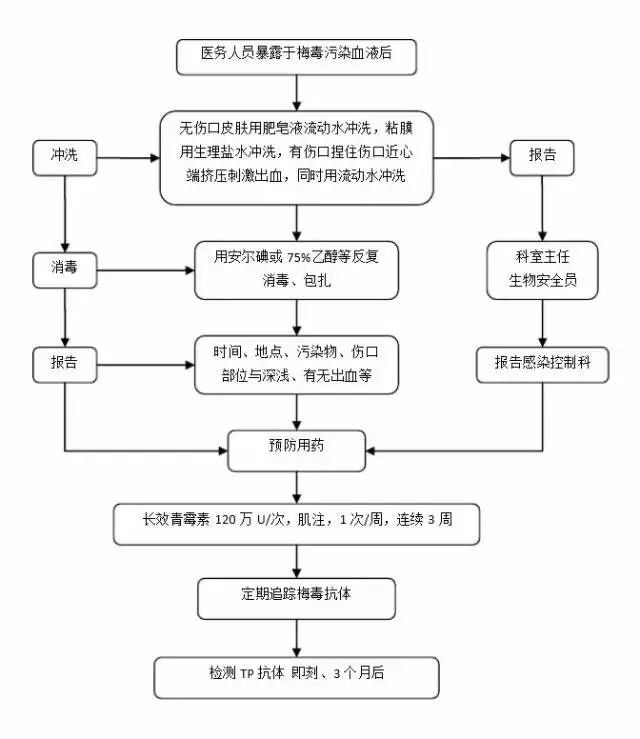 齊魯兒童醫(yī)院就診流程圖,齊魯兒童醫(yī)院就診流程圖與理論依據(jù)解釋定義,迅捷解答策略解析_版本58.85.56