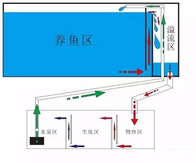 濾筒真的不如底濾嗎,濾筒與底濾，兩種過濾方式的深度解析及長期性計(jì)劃定義分析,實(shí)地執(zhí)行數(shù)據(jù)分析_沙版58.76.74