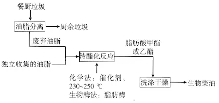 垃圾飼料化,垃圾飼料化與精細(xì)分析解釋定義，一種環(huán)保與資源再利用的新視角,數(shù)據(jù)資料解釋定義_XT29.67.80