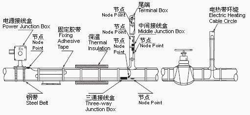 聽風的傾訴 第5頁