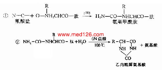 蛋白離子交換層析實(shí)驗(yàn)報告,蛋白離子交換層析實(shí)驗(yàn)報告，實(shí)地計劃驗(yàn)證策略與碑版分析,管家婆大小中特_FT34.22.39