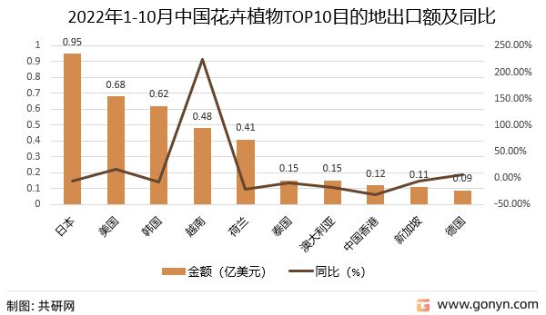 2022年香港資料大全,關(guān)于香港地區(qū)在2022年的最新資料分析預(yù)測，定義與解釋的綜合概述,權(quán)威研究解釋定義_XP52.33.48