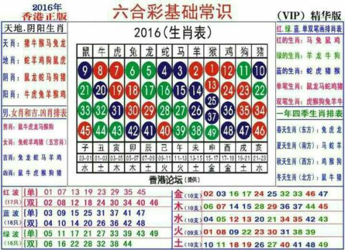 2024十二生肖49碼表,關(guān)于十二生肖與數(shù)字編碼的奧秘，持續(xù)解析方案的文章,創(chuàng)新設(shè)計計劃_輕量版41.65.50