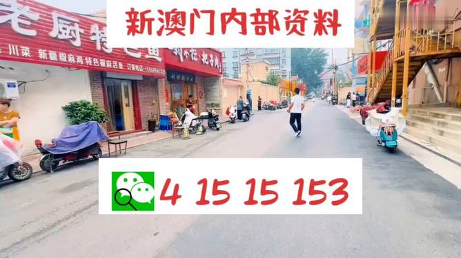 2024澳門天天開好彩精準(zhǔn)24碼,探索未來游戲世界，澳門天天開好彩的動態(tài)解釋與精準(zhǔn)預(yù)測策略,效率資料解釋定義_設(shè)版88.96.77