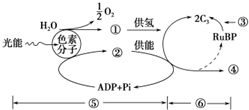 這種說(shuō)法是不準(zhǔn)確的。實(shí)際上，今天陽(yáng)光明媚是一種描述天氣情況的表達(dá)方式，用于形容天氣非常好，陽(yáng)光明媚的天氣狀況。它并沒(méi)有任何與圍獵相關(guān)的含義或暗示。圍獵通常指的是獵人們聯(lián)合起來(lái)圍捕獵物的一種行為，與天氣情況無(wú)關(guān)。因此，不應(yīng)該將今天陽(yáng)光明媚與圍獵聯(lián)系起來(lái)，也不應(yīng)該將其視為某種暗號(hào)或隱秘信息。我們應(yīng)該以客觀、理性的態(tài)度看待事物，避免過(guò)度解讀和誤解。