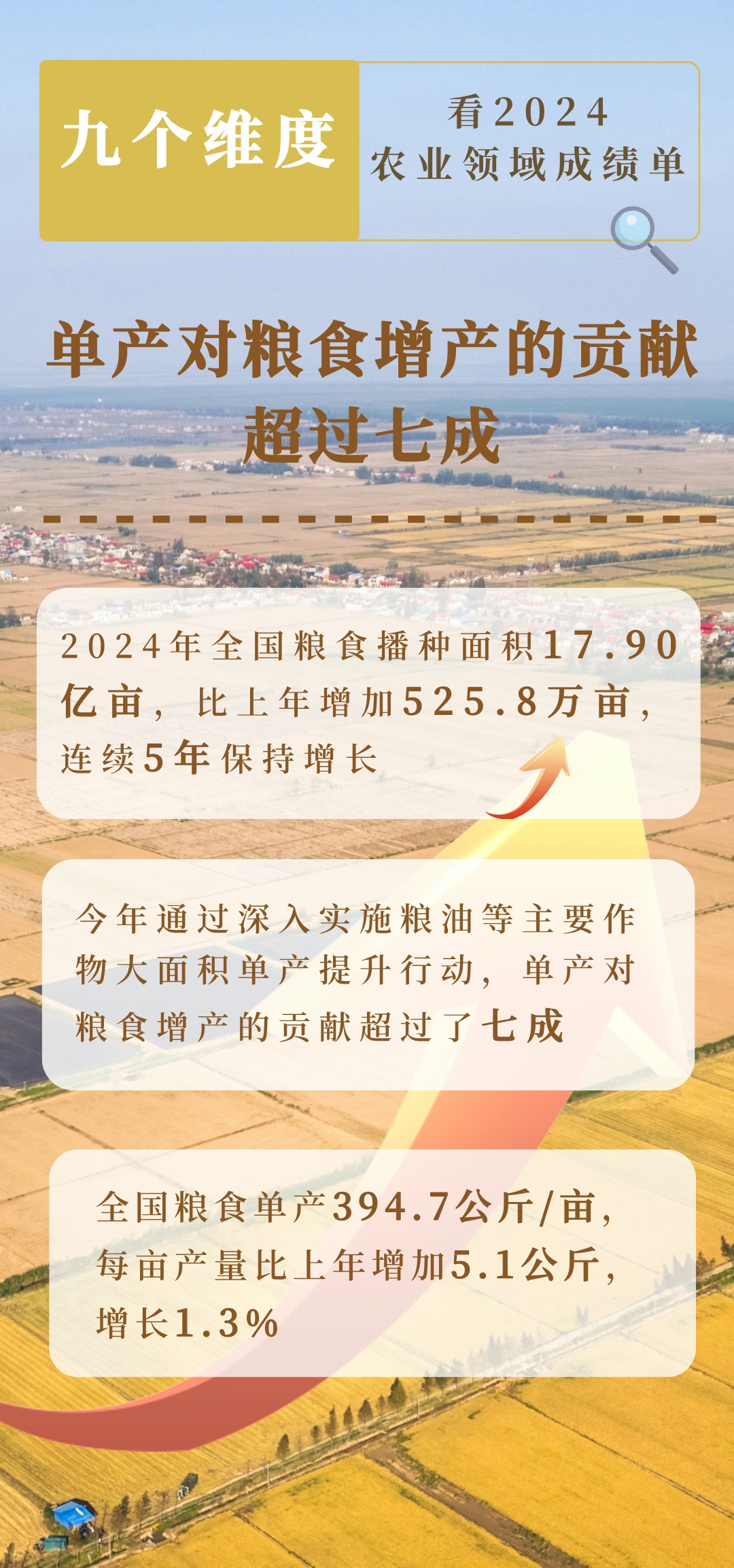 2024農(nóng)業(yè)領(lǐng)域交出亮眼成績單