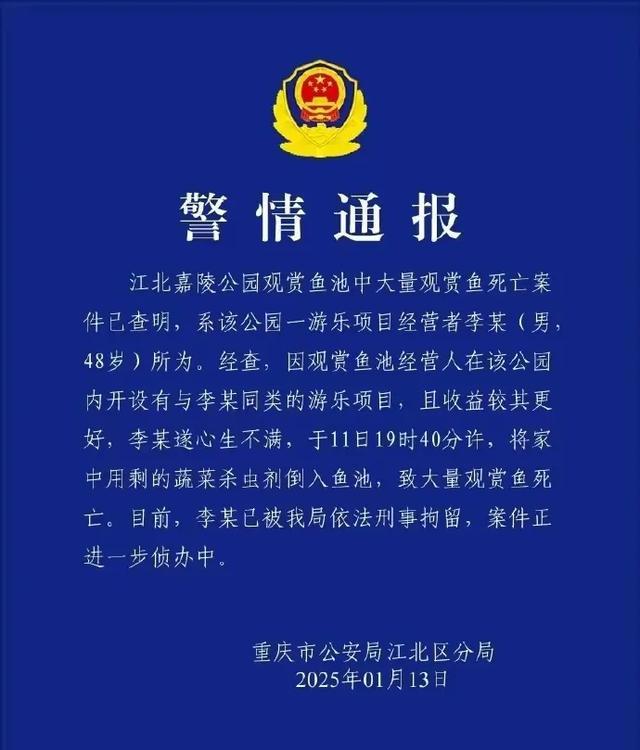 警方通報錦鯉大批死亡：人為投毒