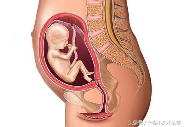 女子懷孕8周找不到胎兒