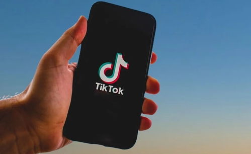 高芙送別TikTok