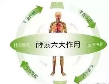 2025年2月6日 第124頁