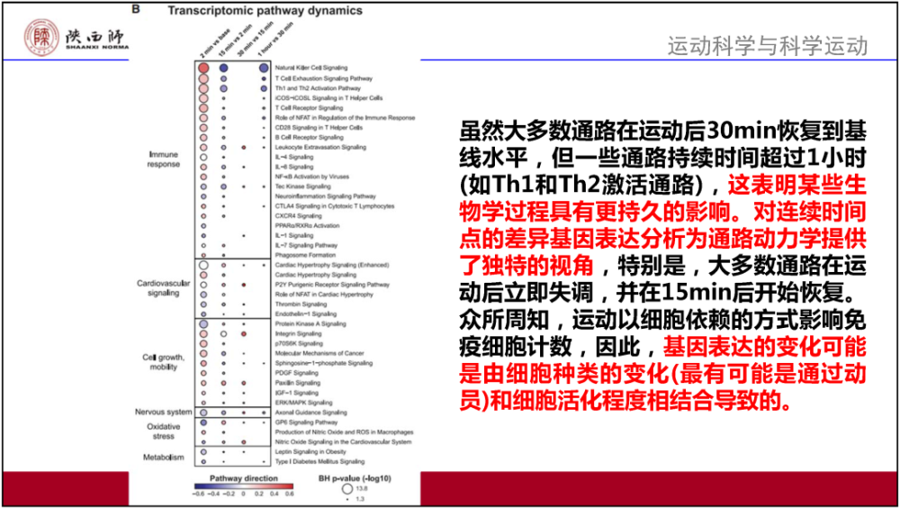 澳門(mén)資料大全正版資料查詢(xún),實(shí)地解讀說(shuō)明_Gold42.58.32