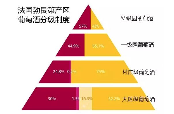 澳門今天晚上開什么特馬,快速解答策略實(shí)施_9DM97.41.93