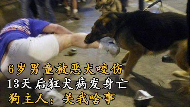 家長稱遭惡犬咬傷孩子右眼仍無反應(yīng),連貫評(píng)估執(zhí)行_7DM34.46.73