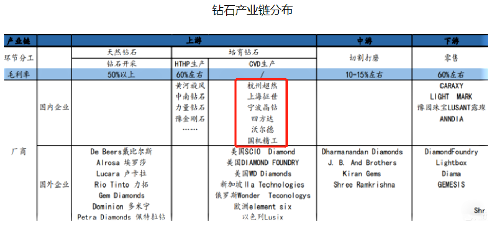 新澳天天彩正版免費資料,全面分析解釋定義_響版21.13.53