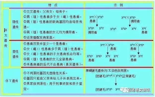 一馬中特免費資料公開2025一月:22日,全面設(shè)計實施策略_版位45.88.79