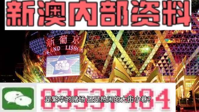 新澳門(mén)六彩精準(zhǔn)資料大全管家婆料,家野中特_特供版28.52.84