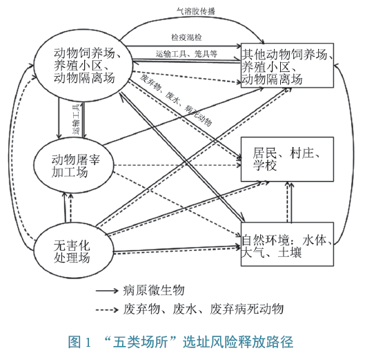 2025年是什么動(dòng)物,完整機(jī)制評(píng)估_小版32.32.34