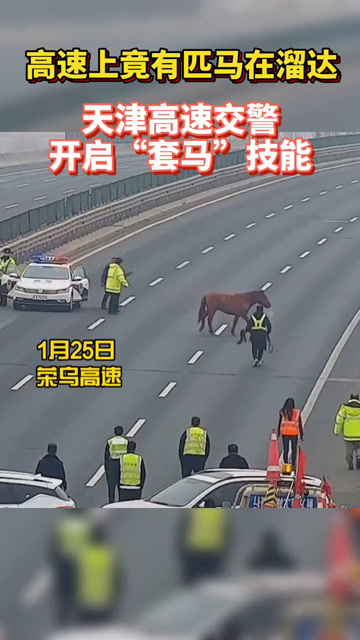 今晚香港出的什么特馬,深圳人形機(jī)器人街邊溜達(dá)火到國(guó)外