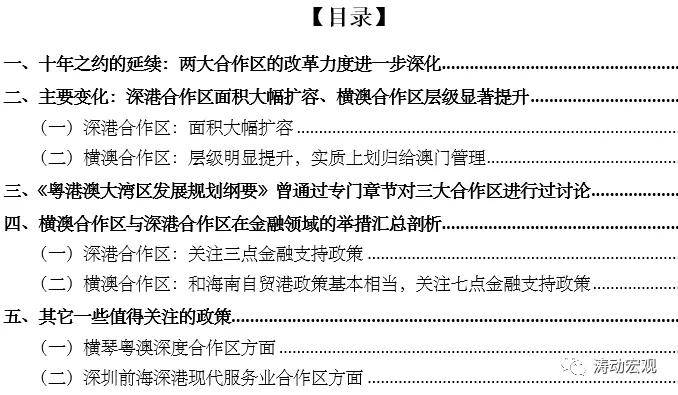 新澳2025正版資料大全與精細化策略定義的探討，實踐分析解釋定義_4DM66.32.35