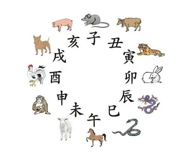 蛇的六6合是什么生肖啊圖片大全,派出所副所長(zhǎng)被指徇私 家屬質(zhì)疑高速解析響應(yīng)方案_挑戰(zhàn)款31.20.12